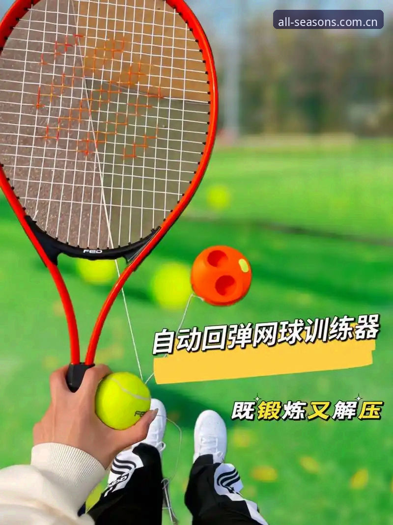 四季体育平台用户真实使用心得：从新手到老手的完整教程经验分享